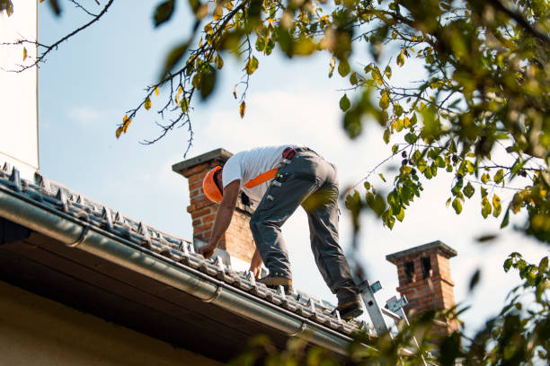 Roof Gutter Cleaning in First Mesa, AZ