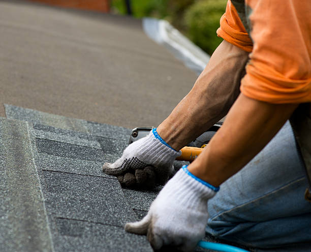Best Roof Gutter Cleaning  in First Mesa, AZ